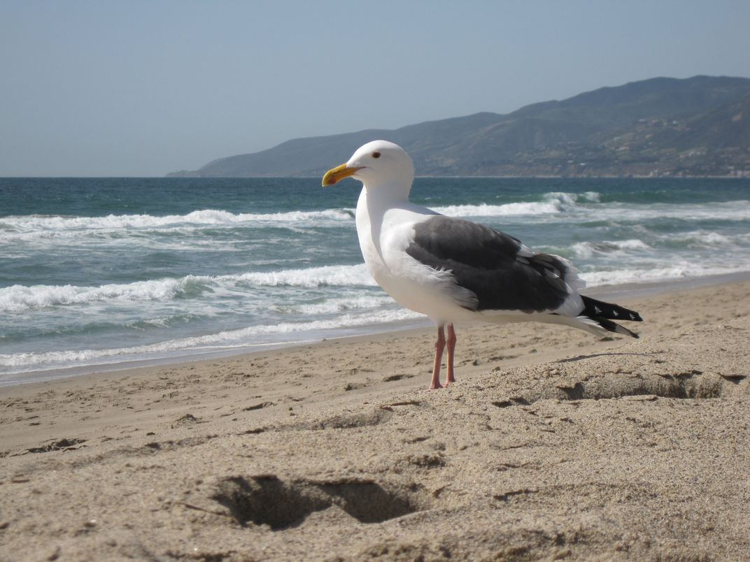 Day Six: Keeping the Environment Clean